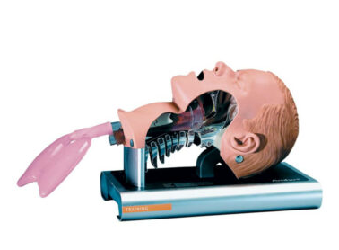 Fantom głowy do nauki intubacji Ambu Airway Management Trainer
